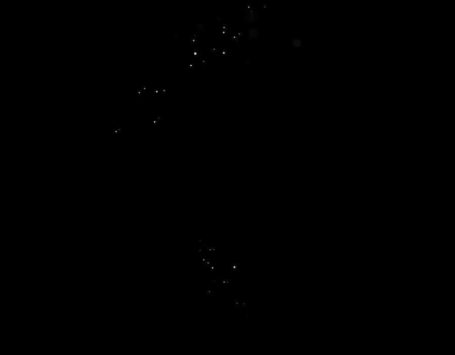 第215页