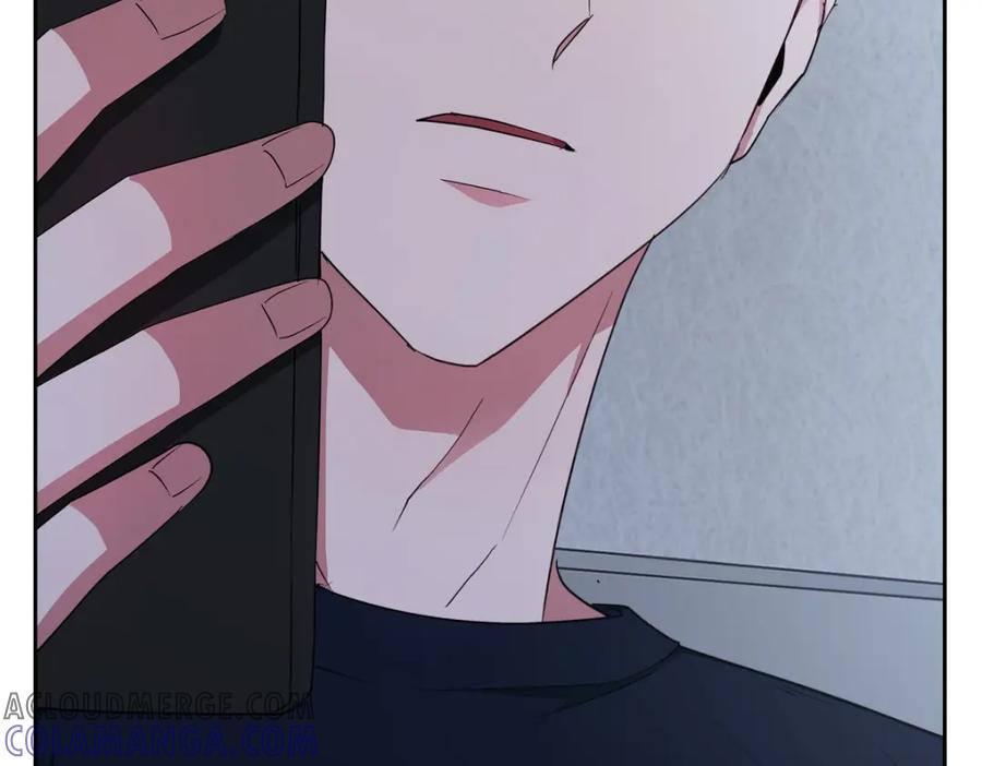 第217页