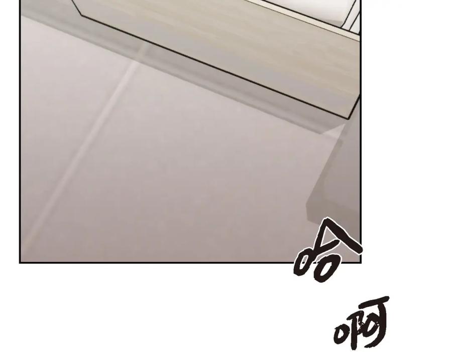 第246页