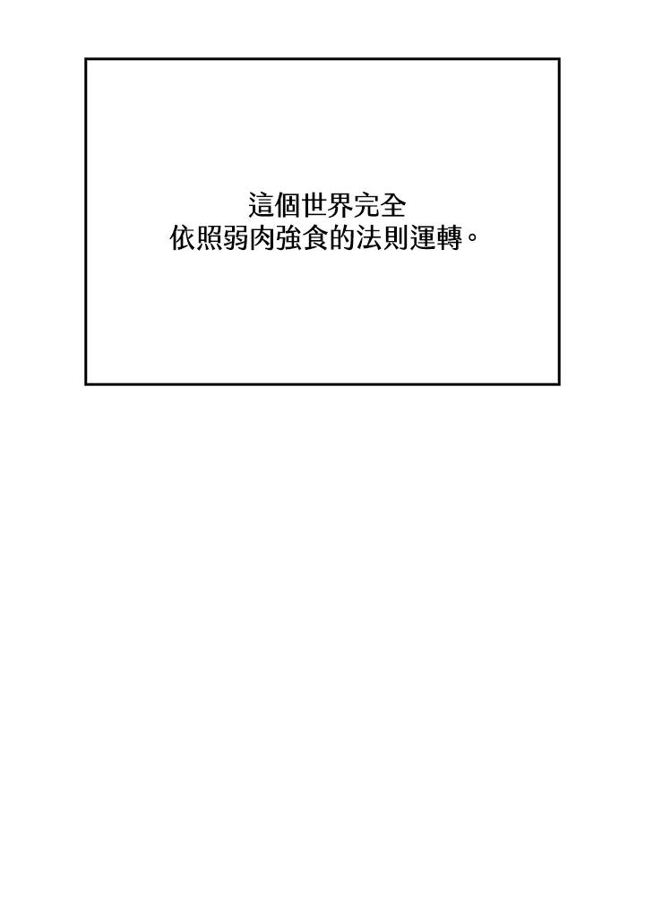 第236页