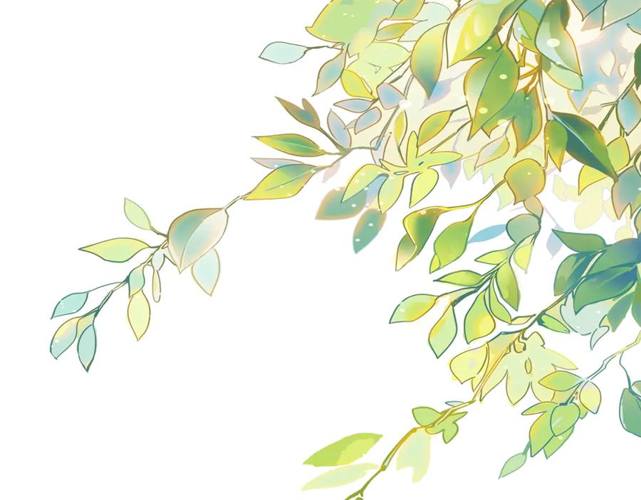 第155页