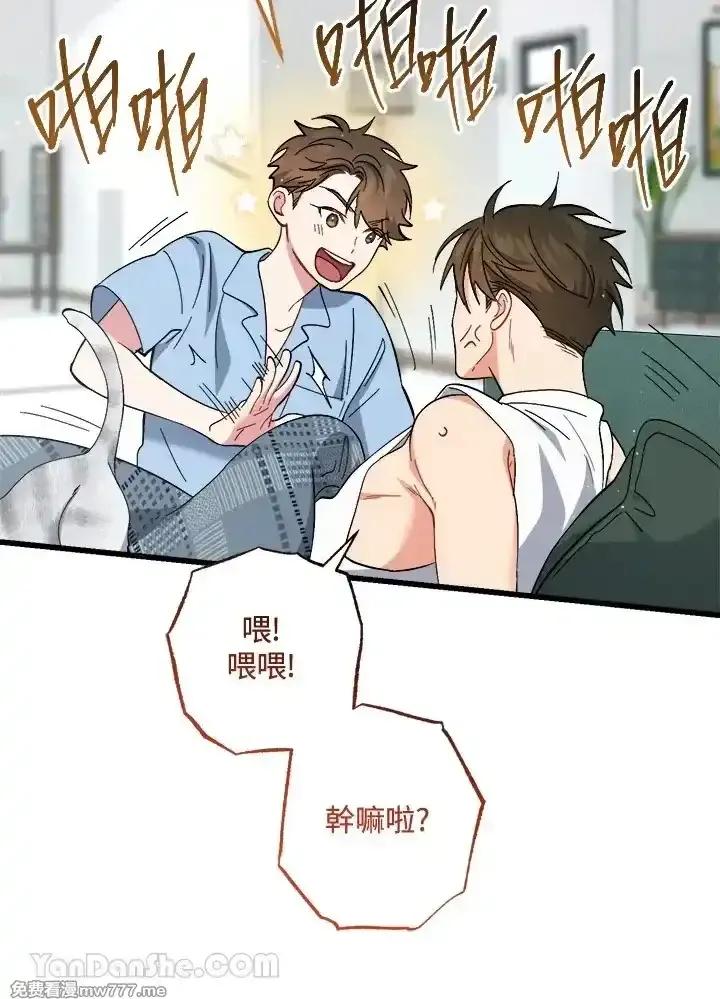第135页