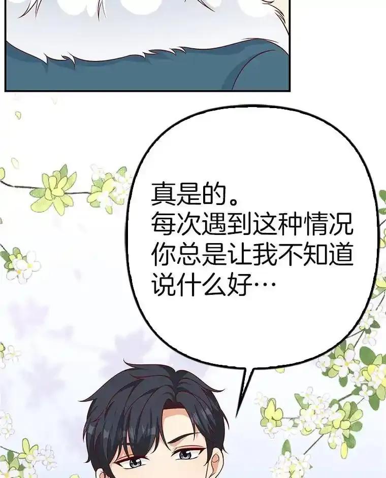 第333页