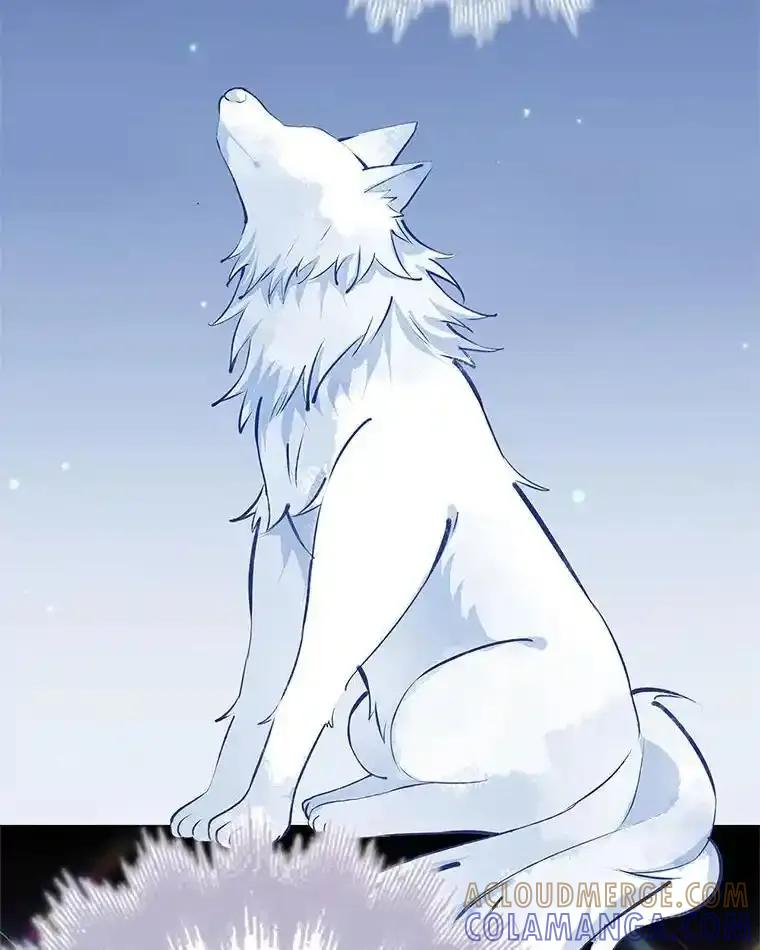 第225页