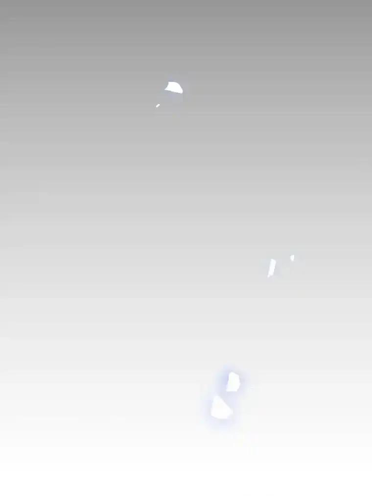 第445页