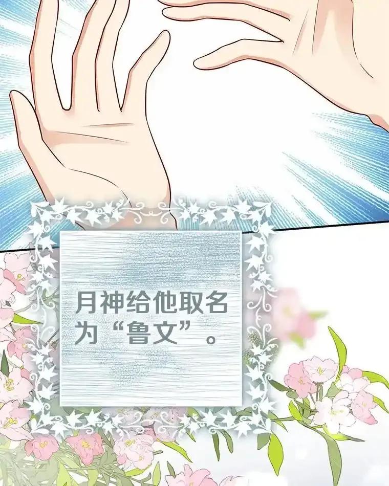 第262页