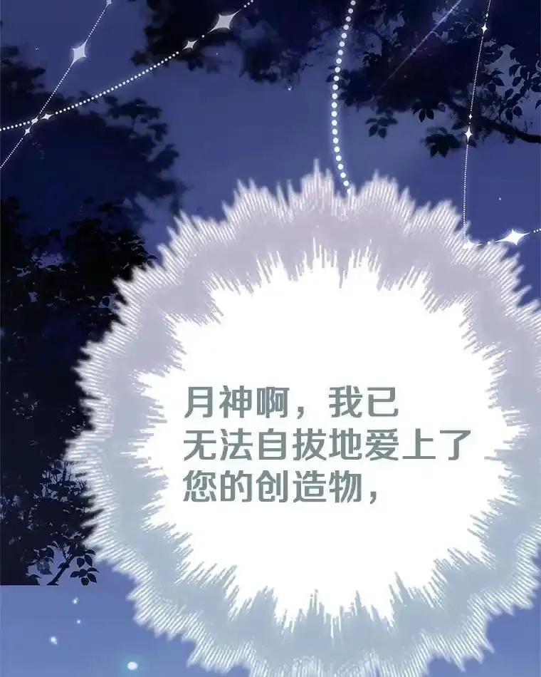 第223页