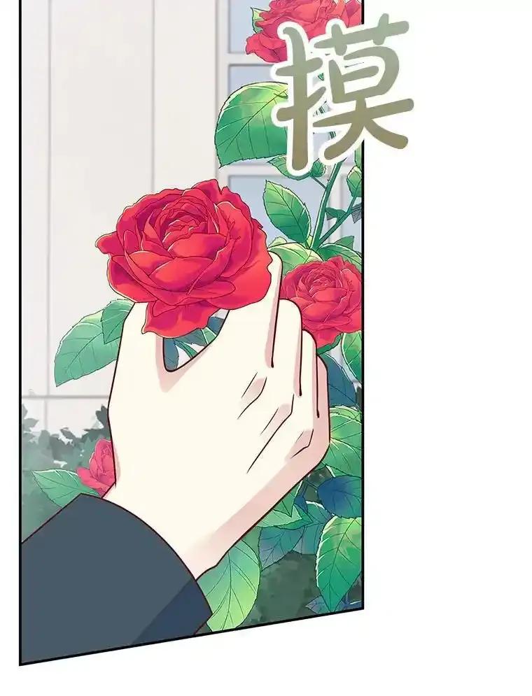 第311页