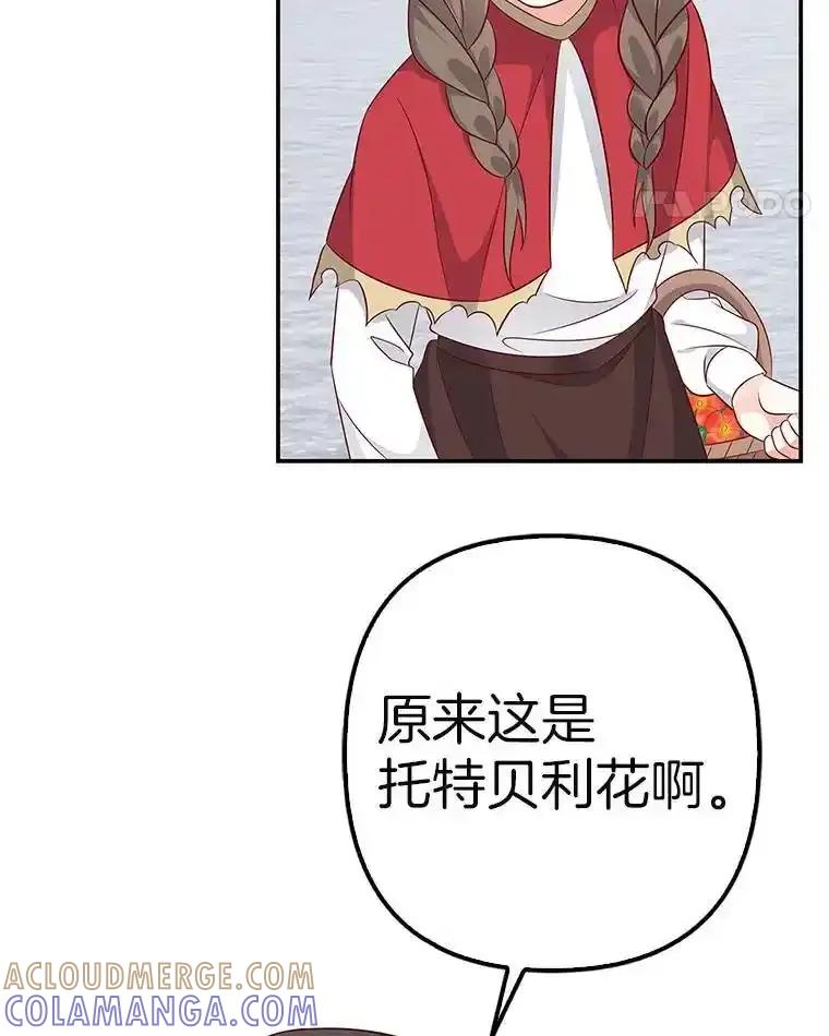 第260页
