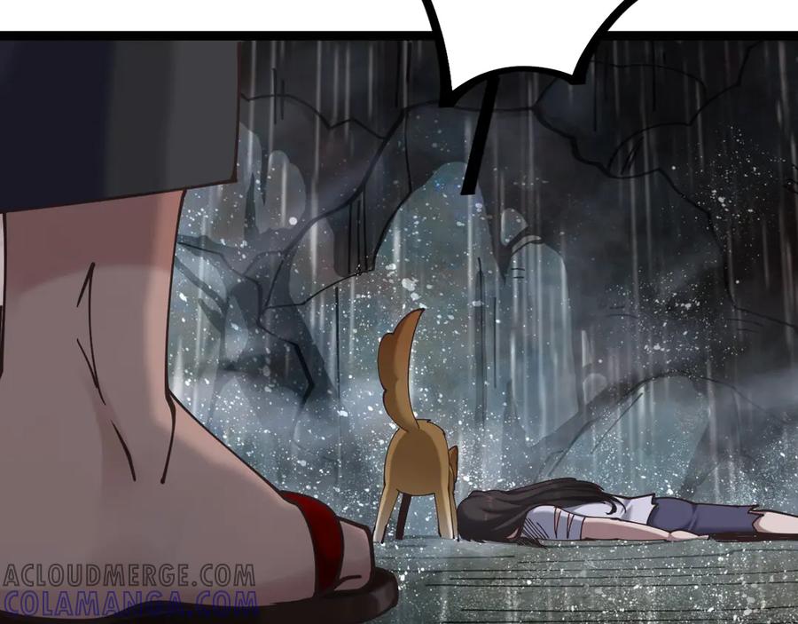 第181页