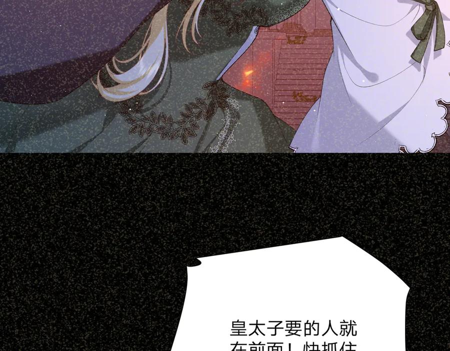 第259页