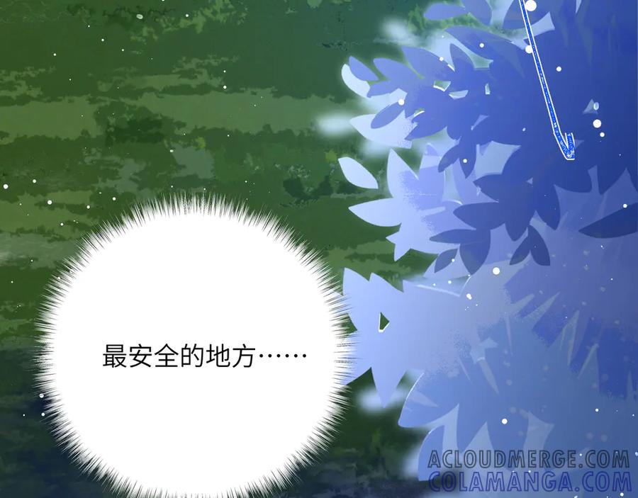 第229页