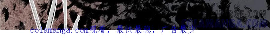 第217页