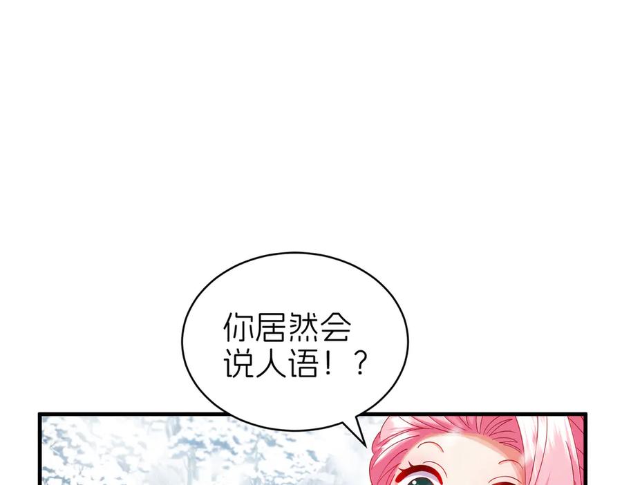 第244页