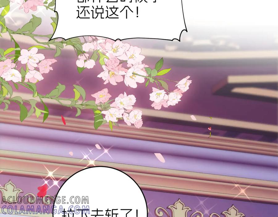 第242页