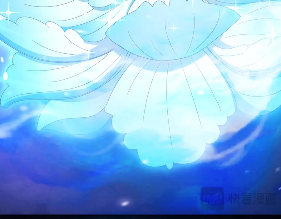 第455页