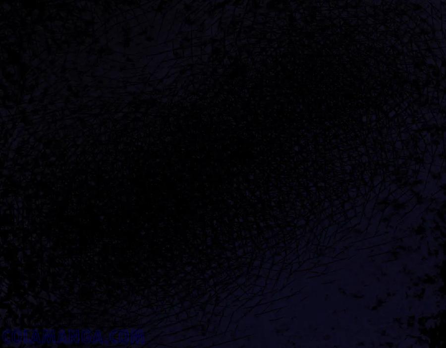 第255页