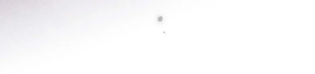 第203页