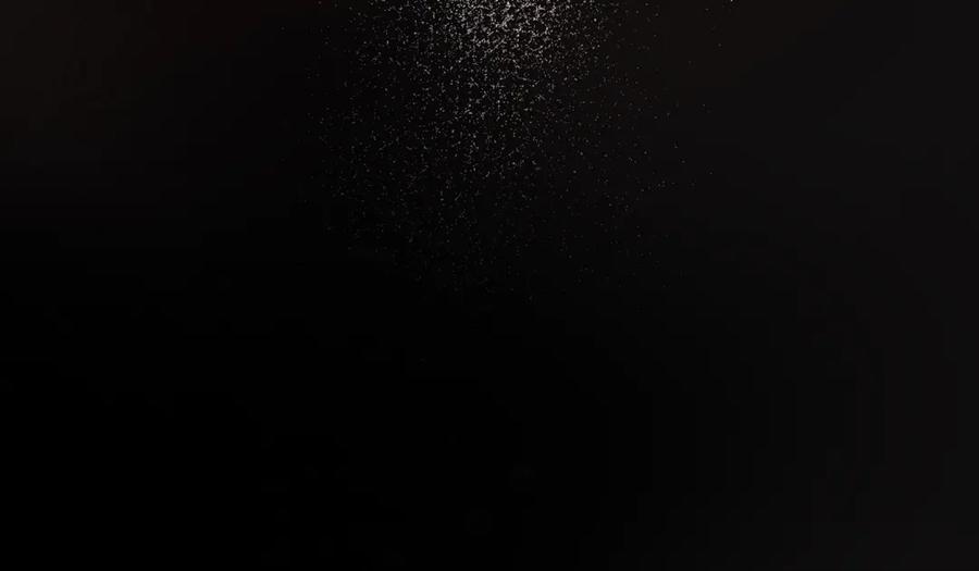 第202页
