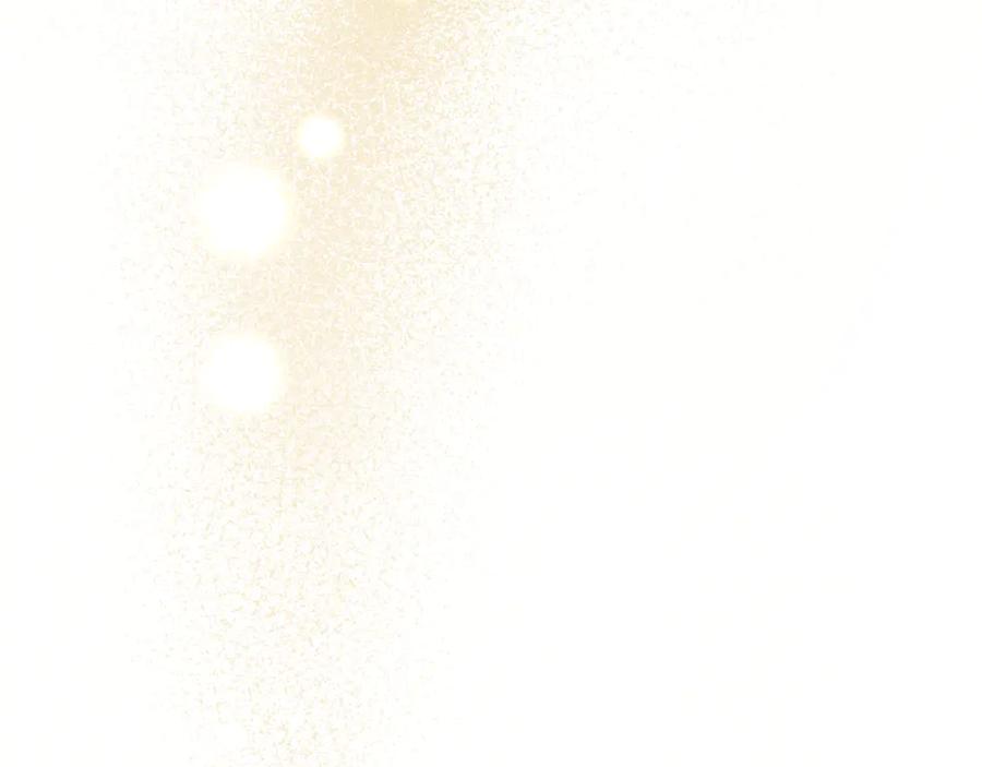 第251页
