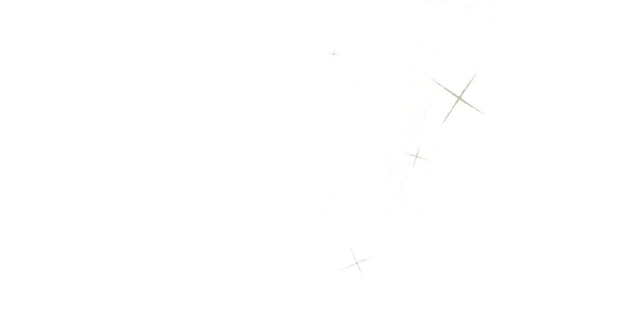 第221页