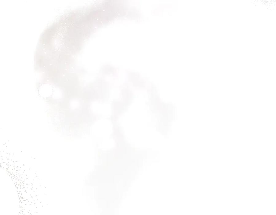 第223页