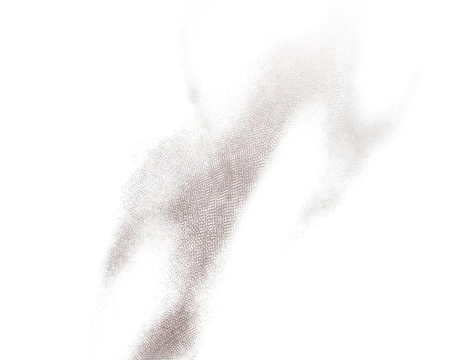 第256页