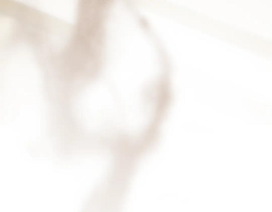 第233页