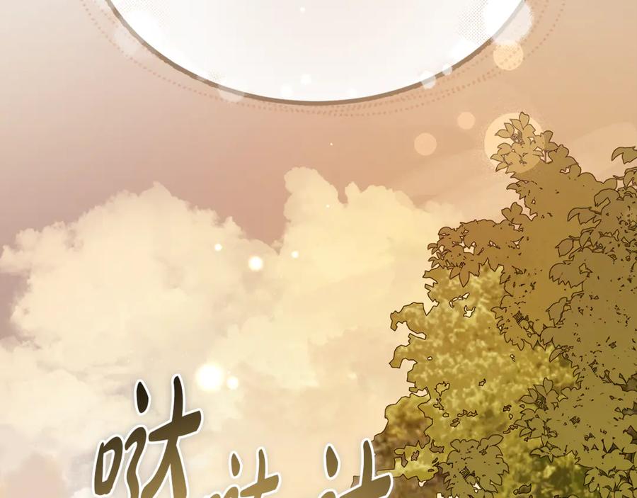 第236页