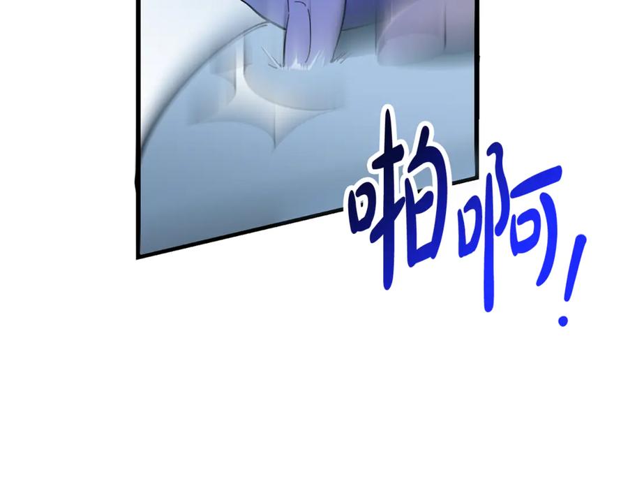 第206页