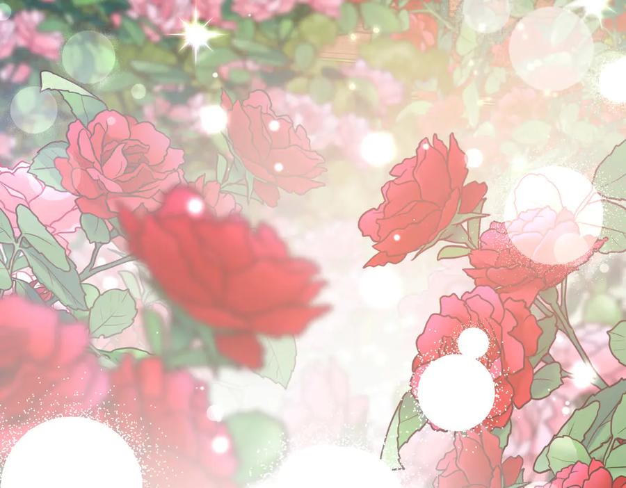 第203页