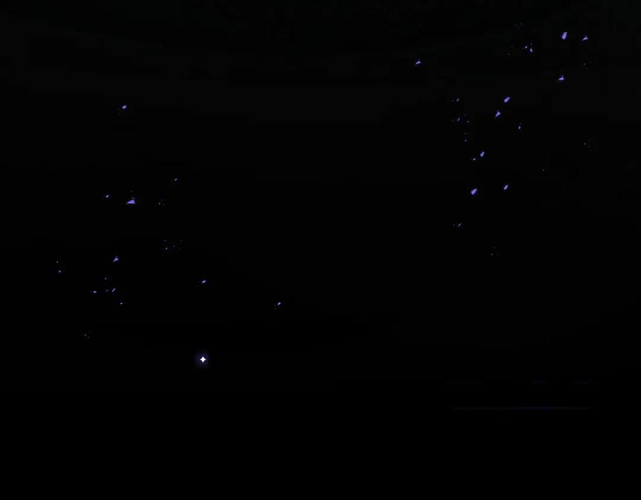 第175页