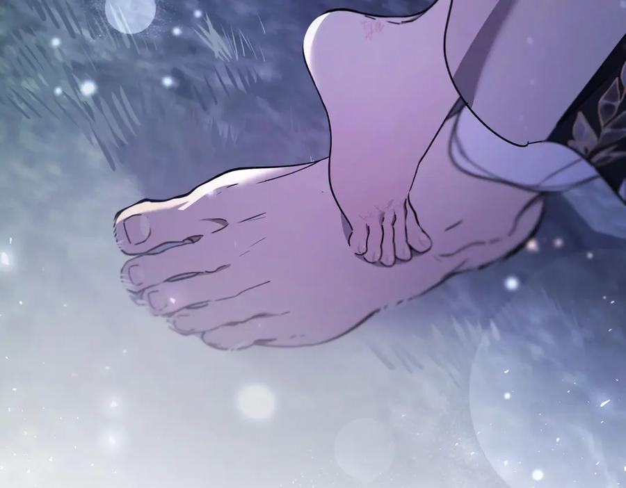第223页
