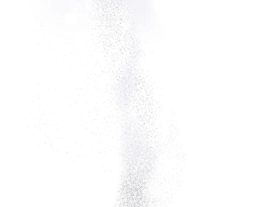 第231页