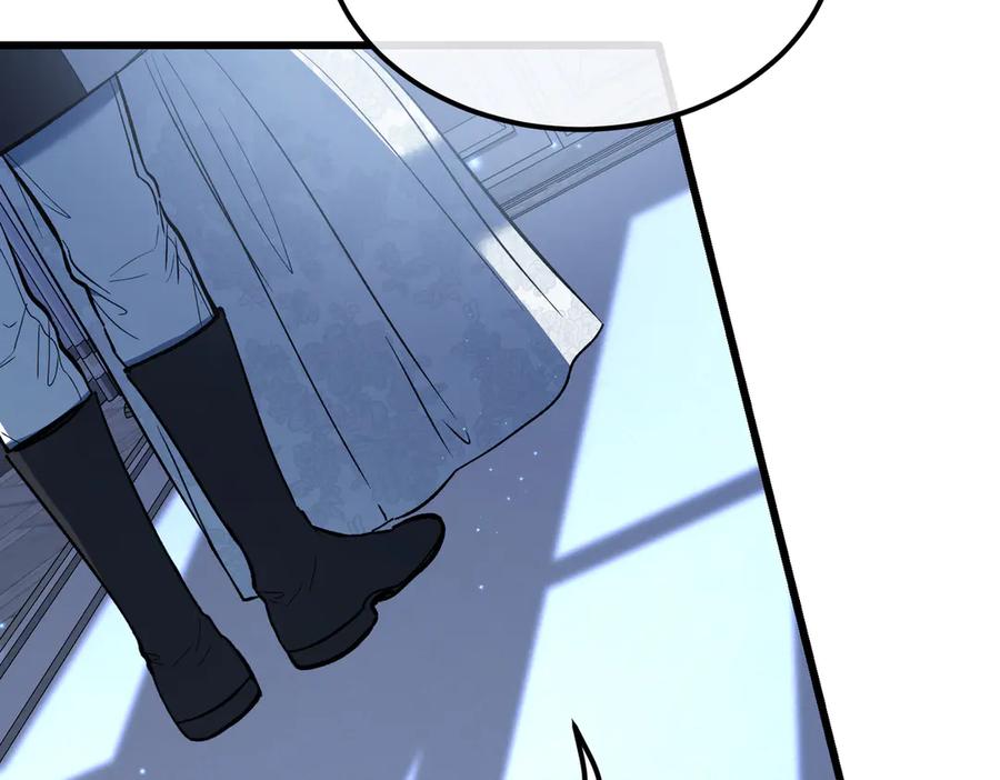第223页
