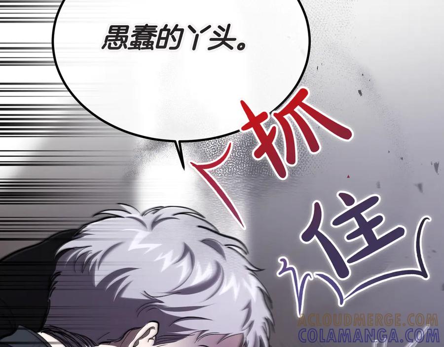第213页