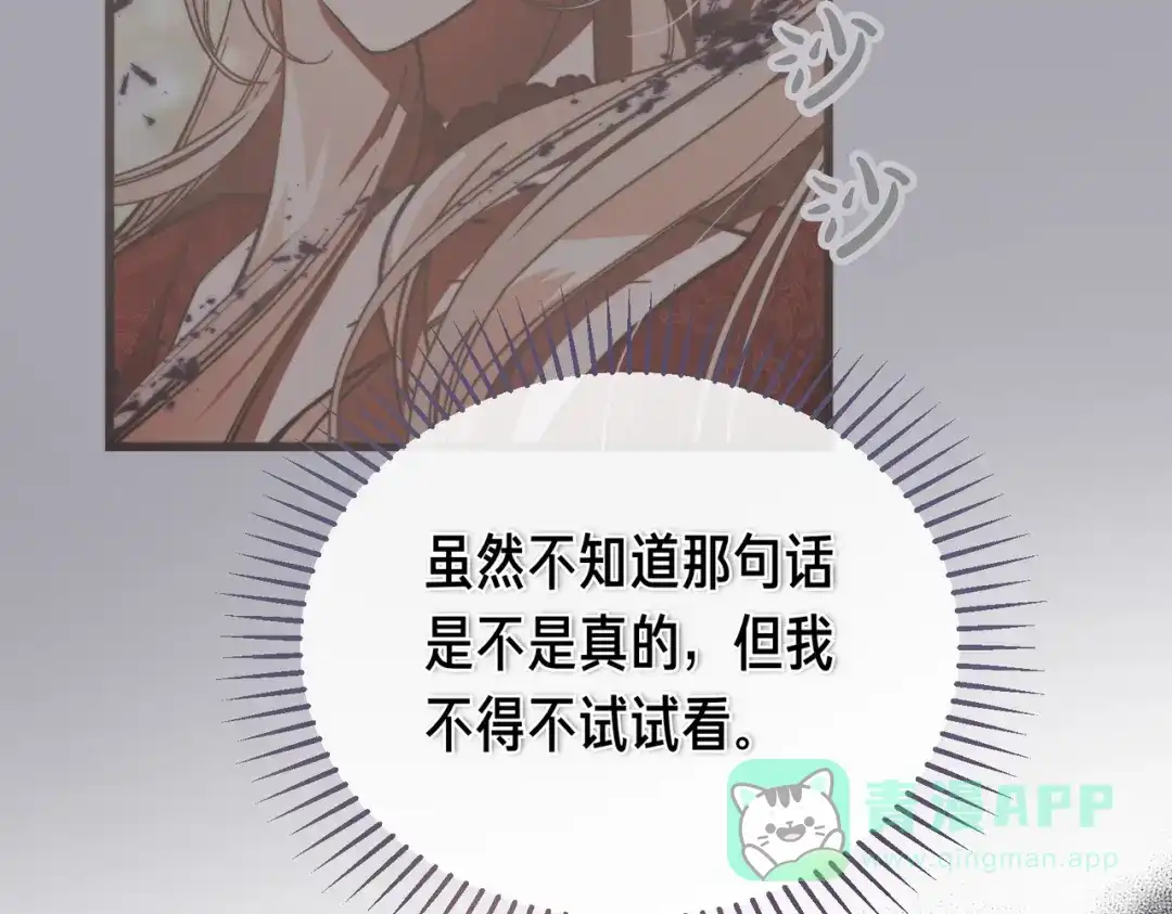 第221页