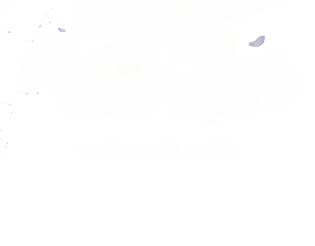 第207页