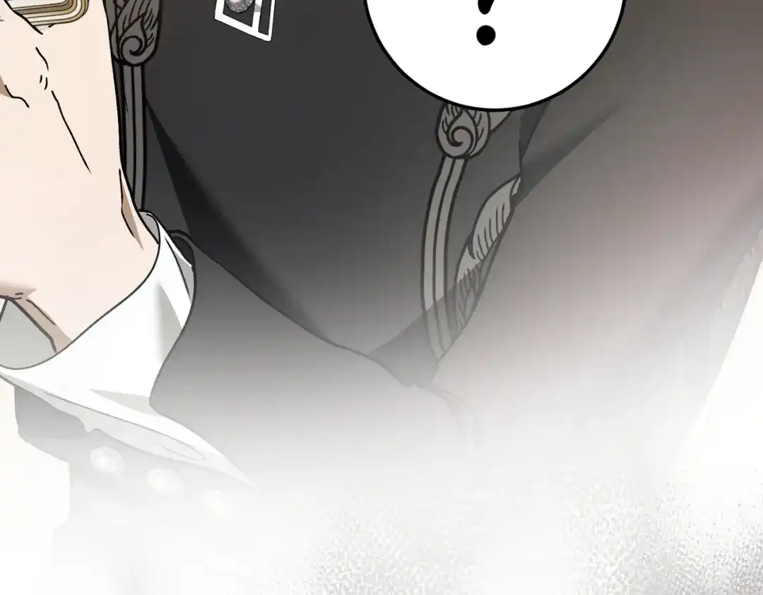第242页