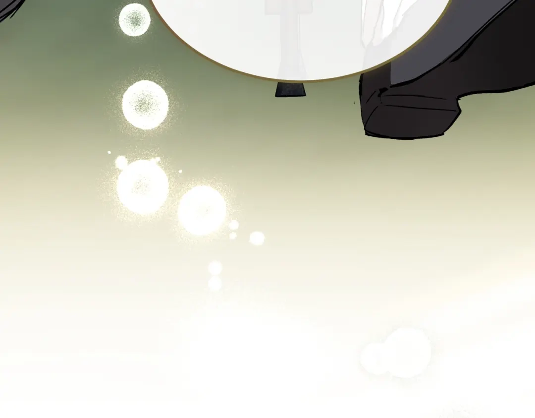第243页