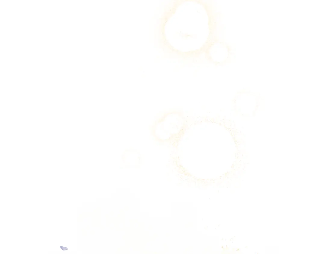 第230页