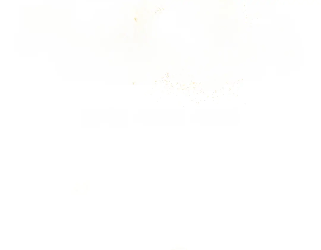 第231页