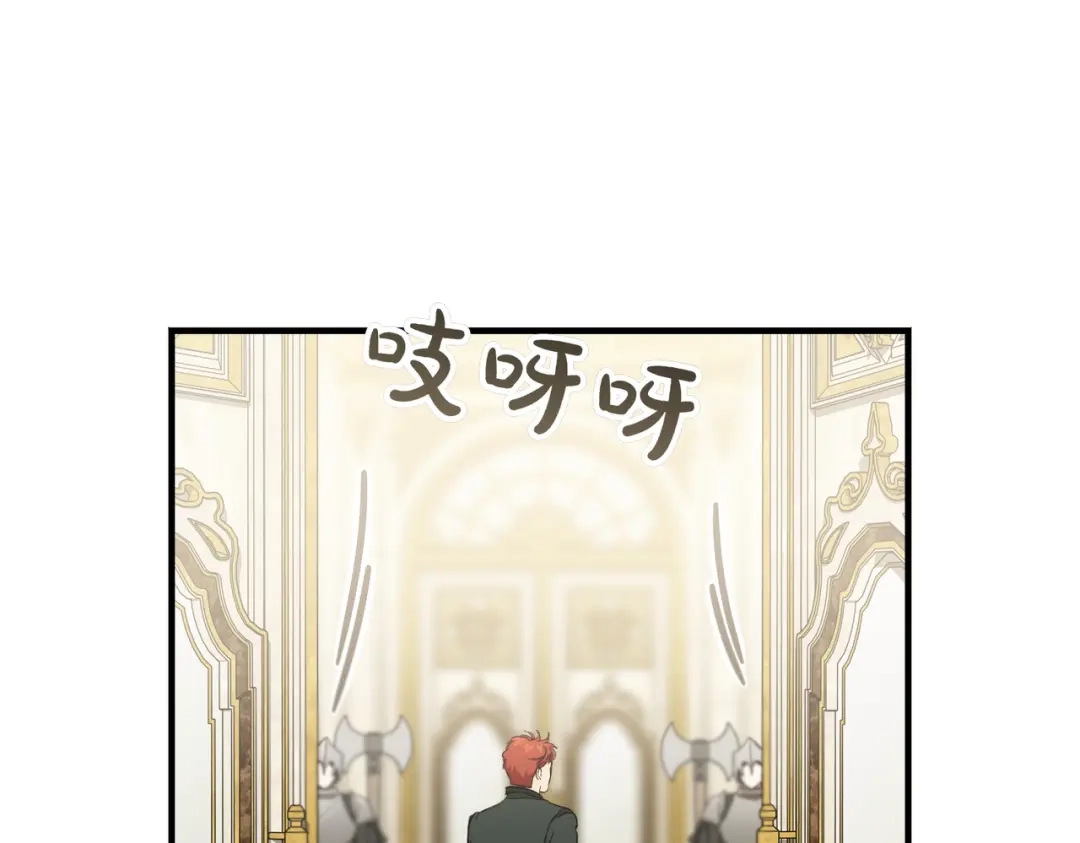 第204页