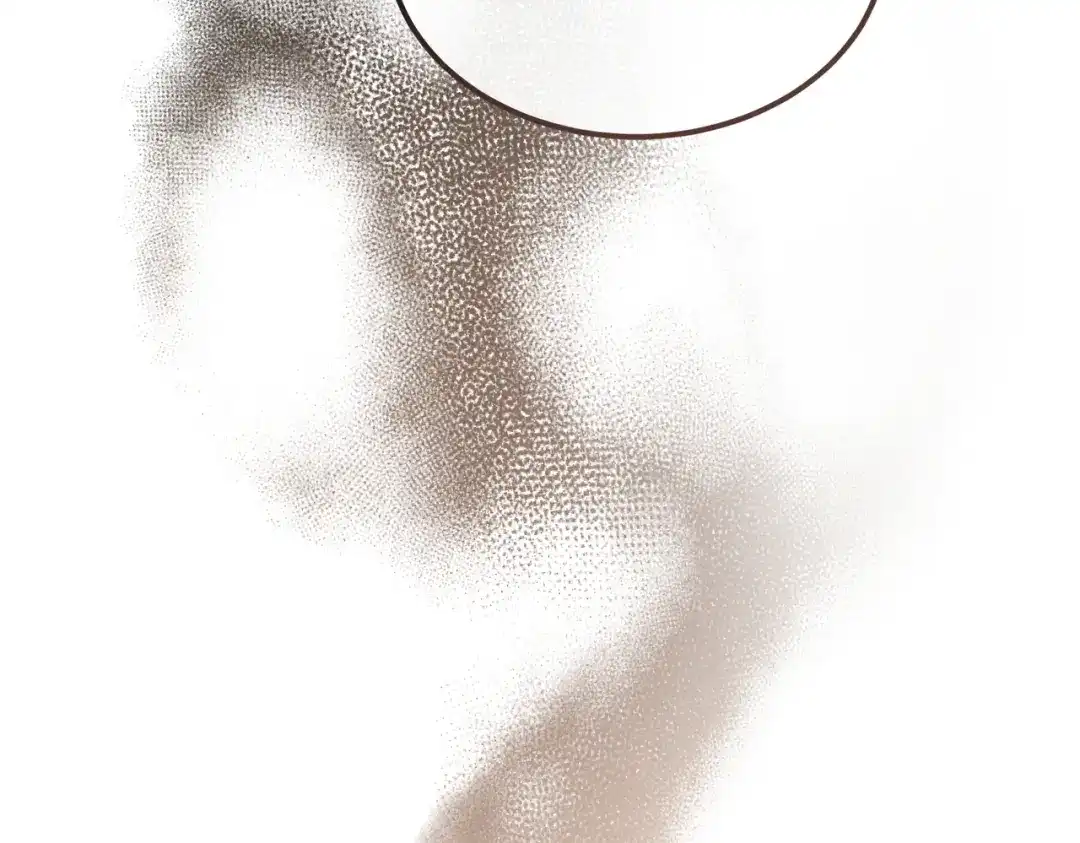 第207页