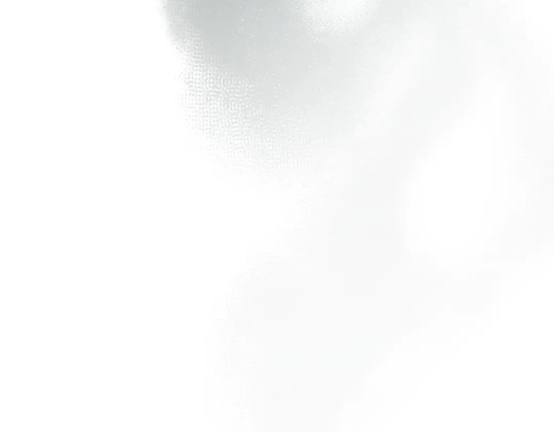 第239页