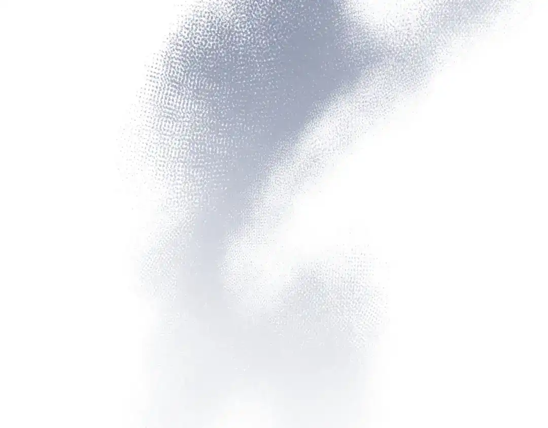 第250页