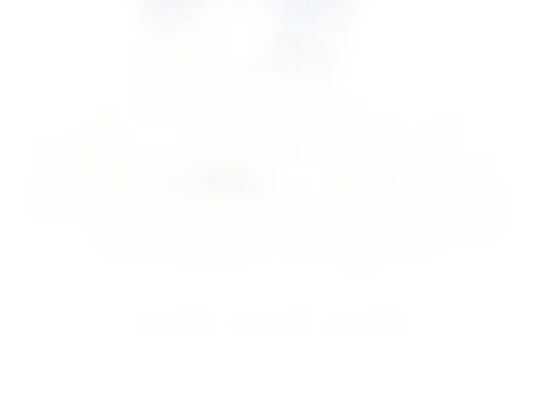 第251页
