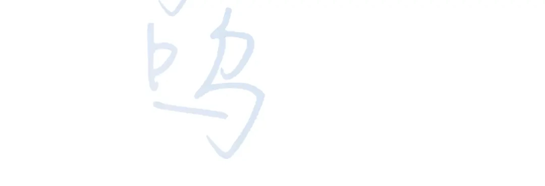 第224页