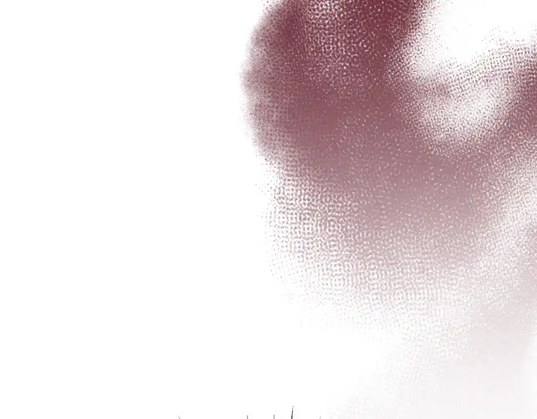 第222页