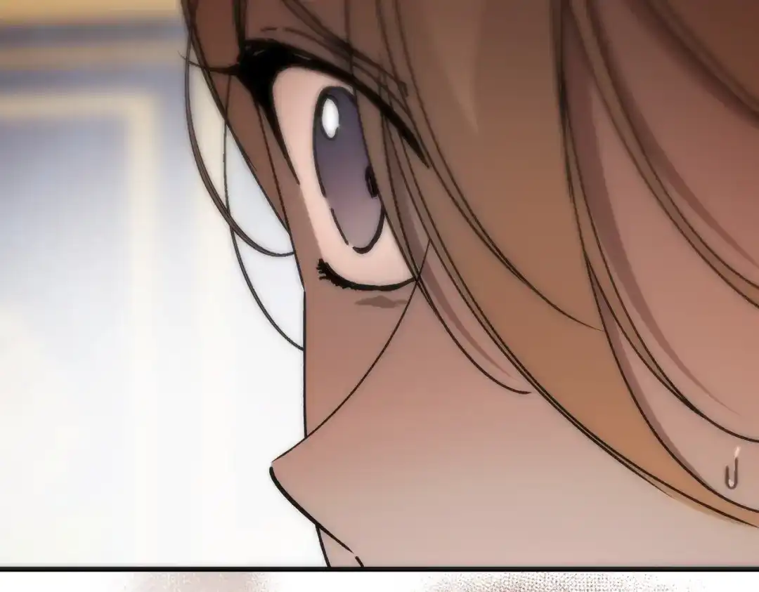 第294页